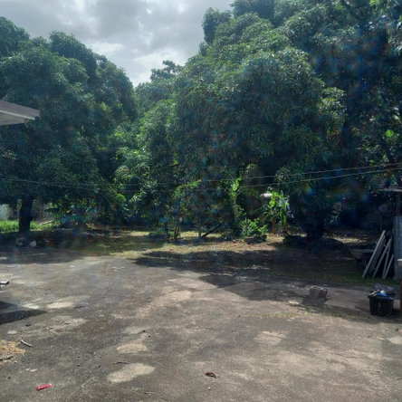 Eleventh image of 102 Havendale Drive in Havendale, St. Andrew, Jamaica - property is For Sale