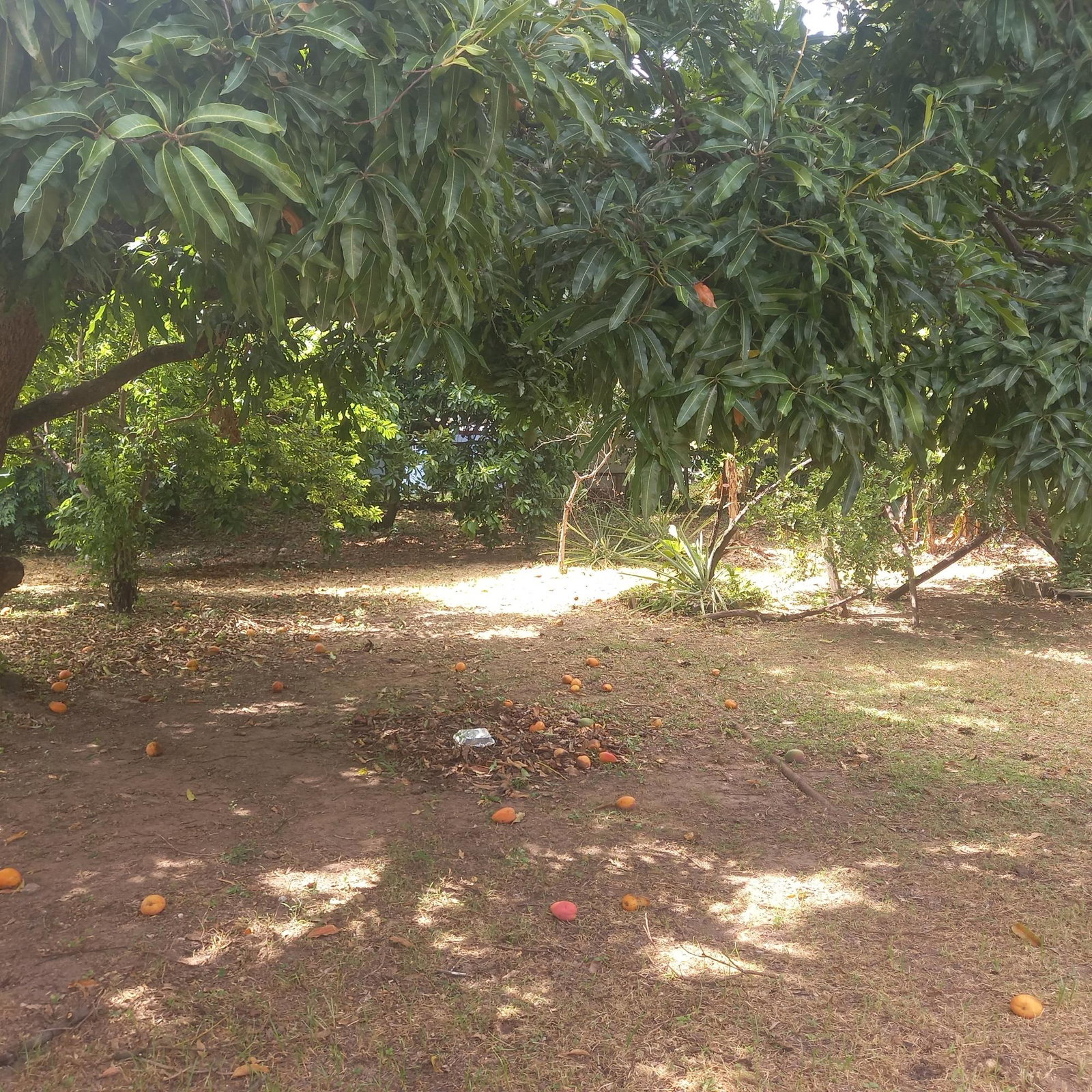 Ninth image of 102 Havendale Drive in Havendale, St. Andrew, Jamaica - property is For Sale