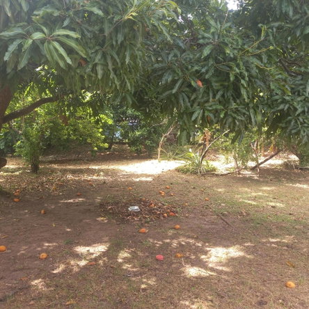 Ninth image of 102 Havendale Drive in Havendale, St. Andrew, Jamaica - property is For Sale
