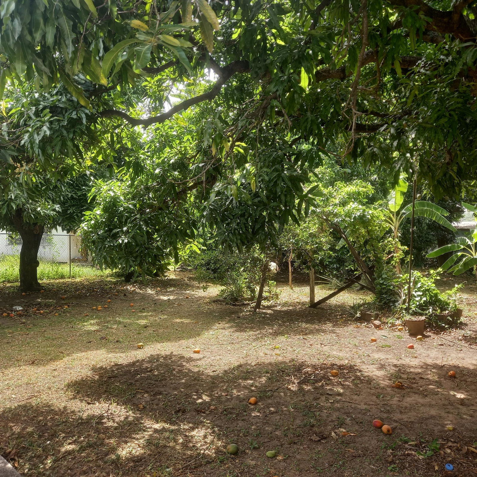 Tenth image of 102 Havendale Drive in Havendale, St. Andrew, Jamaica - property is For Sale