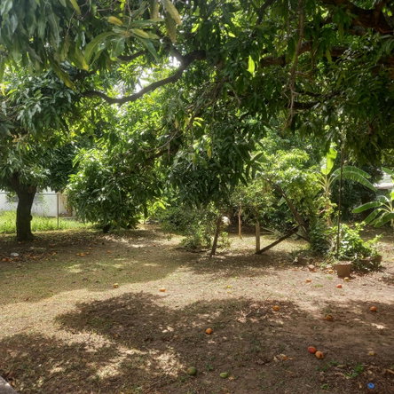 Tenth image of 102 Havendale Drive in Havendale, St. Andrew, Jamaica - property is For Sale