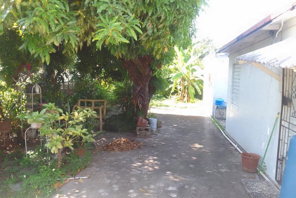 Fourth image of 67 Bouganvilla Avenue, Mona in Kingston 6, St. Andrew, Jamaica - property is For Sale