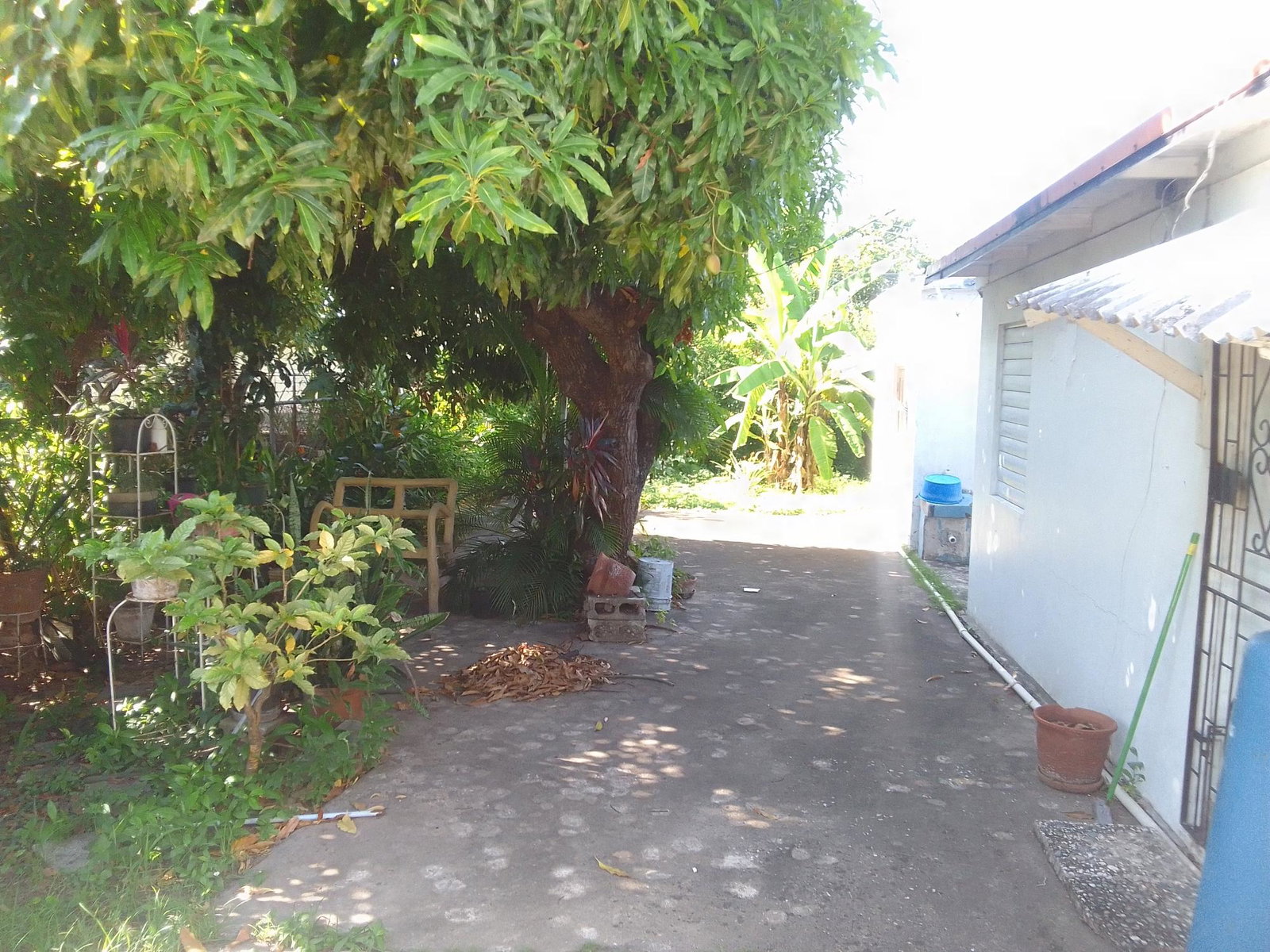 Charming-4-Bedroom-Home-for-Sale-in-Mona-Jamaica Fourth image of 67 Bouganvilla Avenue, Mona in Kingston 6, St. Andrew, Jamaica - property is For Sale