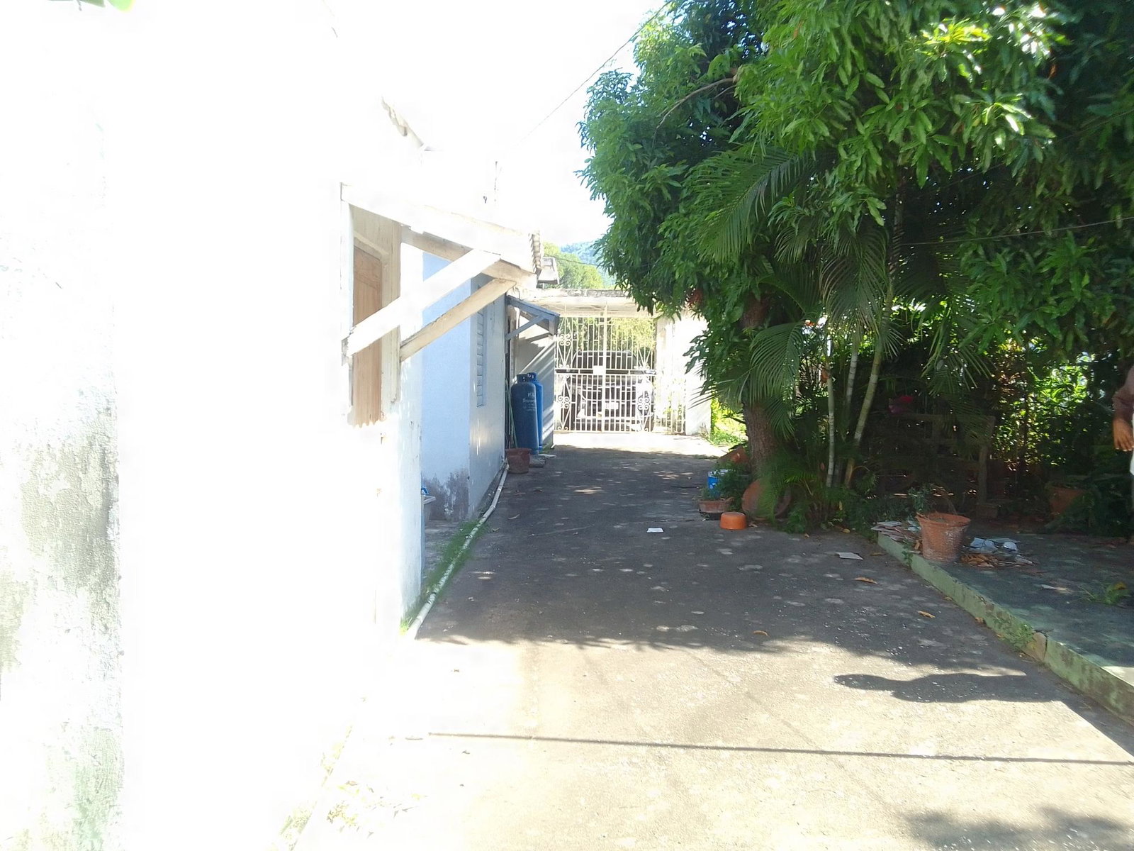 Charming-4-Bedroom-Home-for-Sale-in-Mona-Jamaica Fifth image of 67 Bouganvilla Avenue, Mona in Kingston 6, St. Andrew, Jamaica - property is For Sale