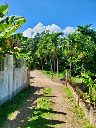 First image of Lot #32 Glenmuir in May Pen, Clarendon, Jamaica - property is For Sale