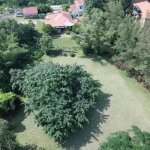 First image of Lorraine Cottage in Mandeville, Manchester, Jamaica - property is For Sale