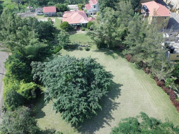 First image of Lorraine Cottage in Mandeville, Manchester, Jamaica - property is For Sale