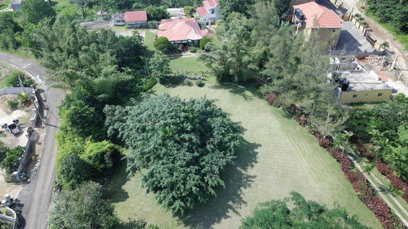 First image of Lorraine Cottage in Mandeville, Manchester, Jamaica - property is For Sale