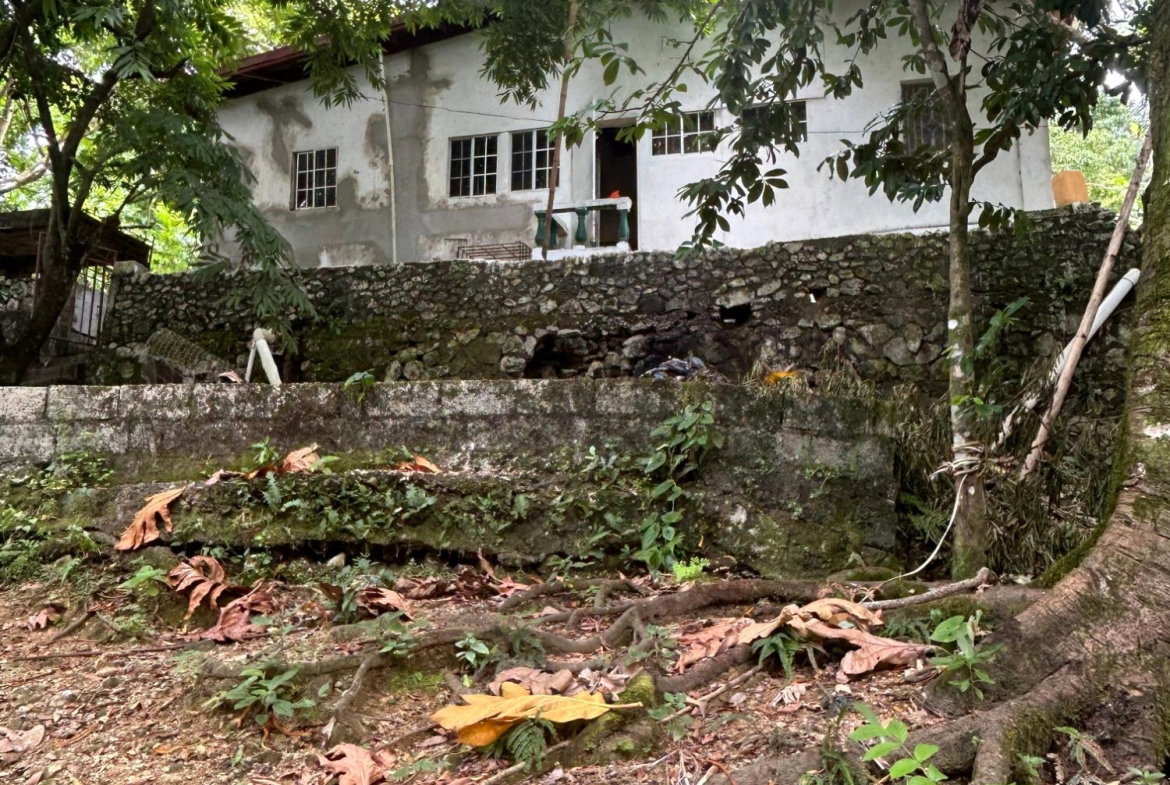 Sixth image of House-3 Red Hassell Road, Portlan in Port Antonio, Portland, Jamaica - property is For Sale