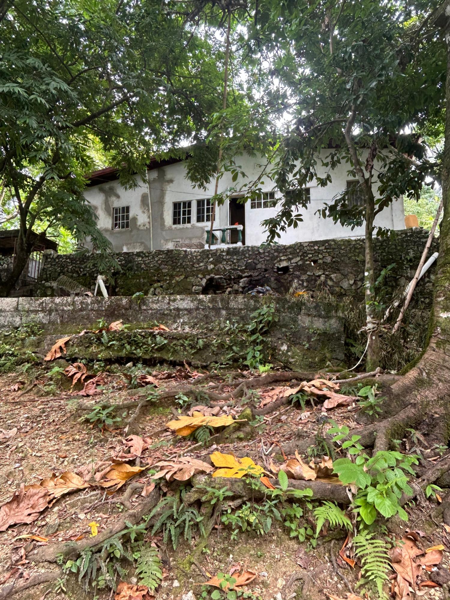 Sixth image of House-3 Red Hassell Road, Portlan in Port Antonio, Portland, Jamaica - property is For Sale