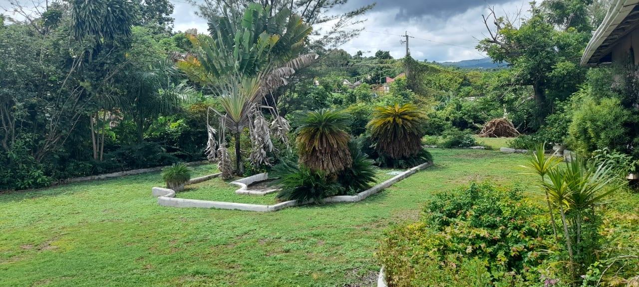 Charming-Fixer-Upper-in-Ocho-Rios-3-Buildings-on-2.31-Acres Fourteenth image of Exchange Road Ocho Rios in Ocho Rios, St. Ann, Jamaica - property is For Sale