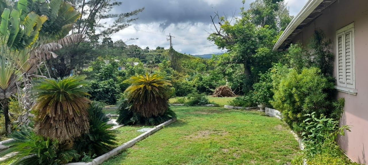 Charming-Fixer-Upper-in-Ocho-Rios-3-Buildings-on-2.31-Acres Seventeenth image of Exchange Road Ocho Rios in Ocho Rios, St. Ann, Jamaica - property is For Sale