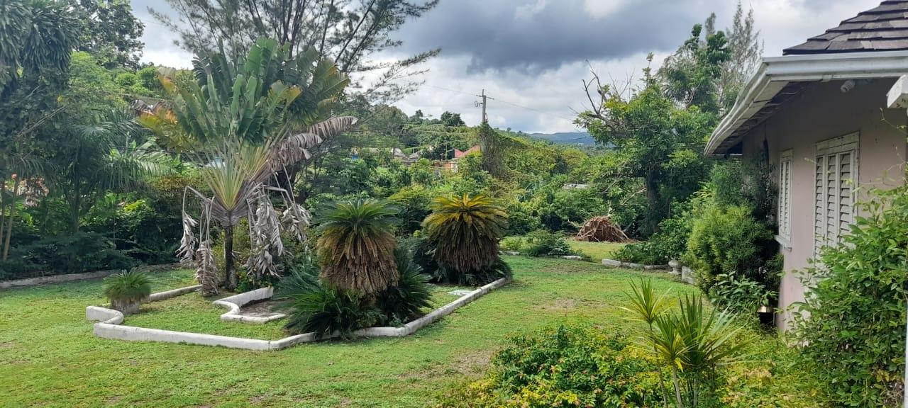 Charming-Fixer-Upper-in-Ocho-Rios-3-Buildings-on-2.31-Acres Eighteenth image of Exchange Road Ocho Rios in Ocho Rios, St. Ann, Jamaica - property is For Sale