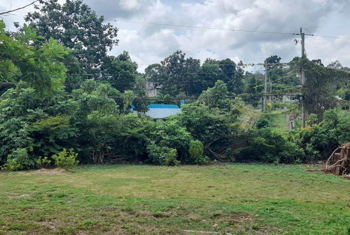 Twenty-Third image of Exchange Road Ocho Rios in Ocho Rios, St. Ann, Jamaica - property is For Sale