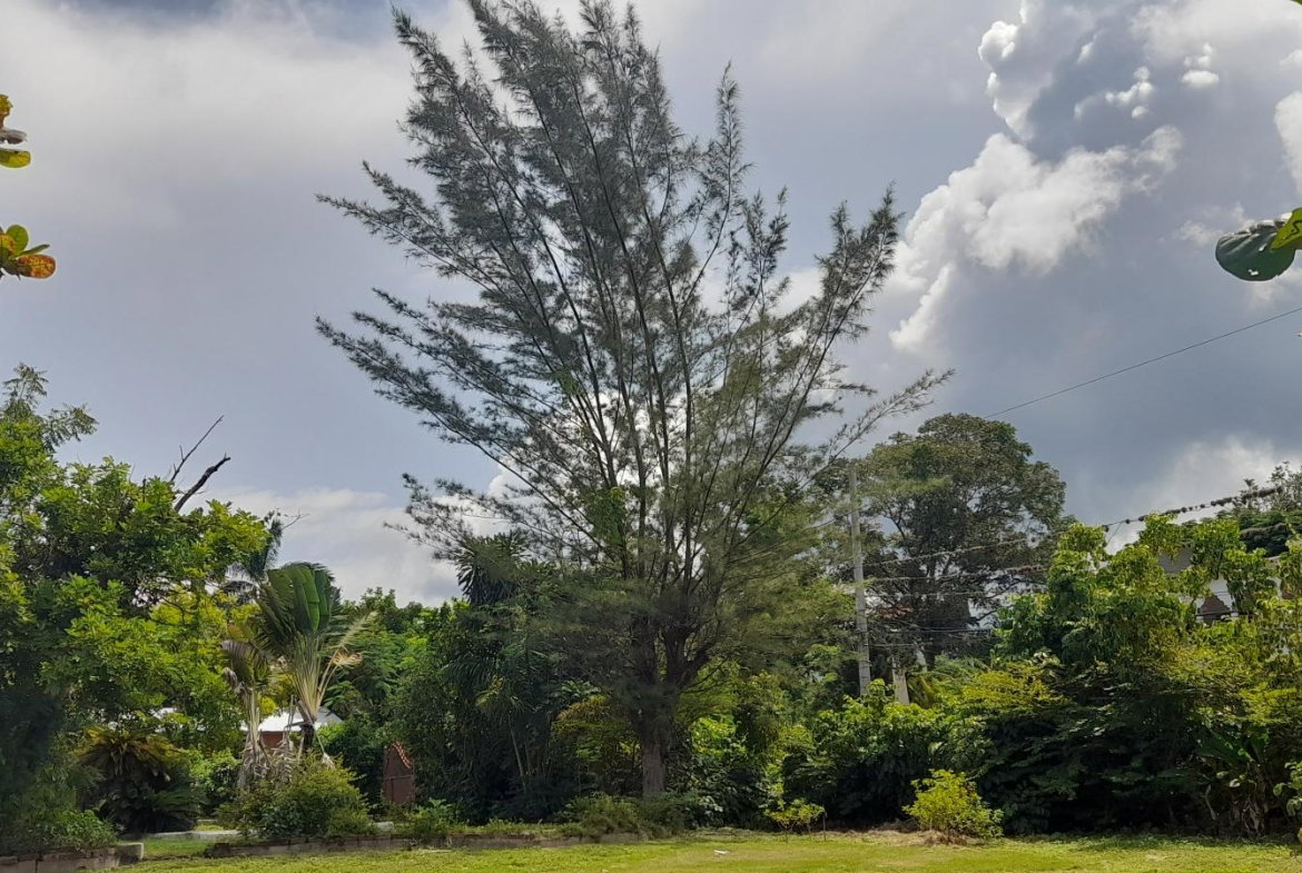 Twenty-Fourth image of Exchange Road Ocho Rios in Ocho Rios, St. Ann, Jamaica - property is For Sale