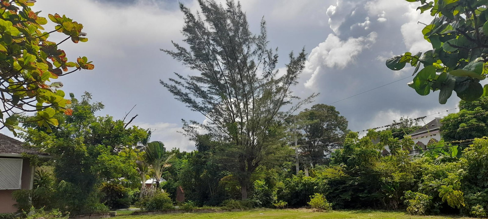Charming-Fixer-Upper-in-Ocho-Rios-3-Buildings-on-2.31-Acres Twenty-Fourth image of Exchange Road Ocho Rios in Ocho Rios, St. Ann, Jamaica - property is For Sale
