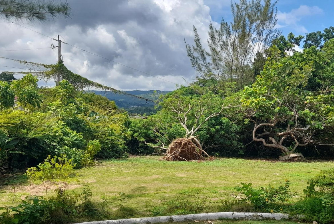 Twenty-Fifth image of Exchange Road Ocho Rios in Ocho Rios, St. Ann, Jamaica - property is For Sale