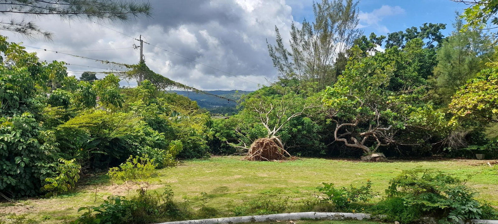 Charming-Fixer-Upper-in-Ocho-Rios-3-Buildings-on-2.31-Acres Twenty-Fifth image of Exchange Road Ocho Rios in Ocho Rios, St. Ann, Jamaica - property is For Sale