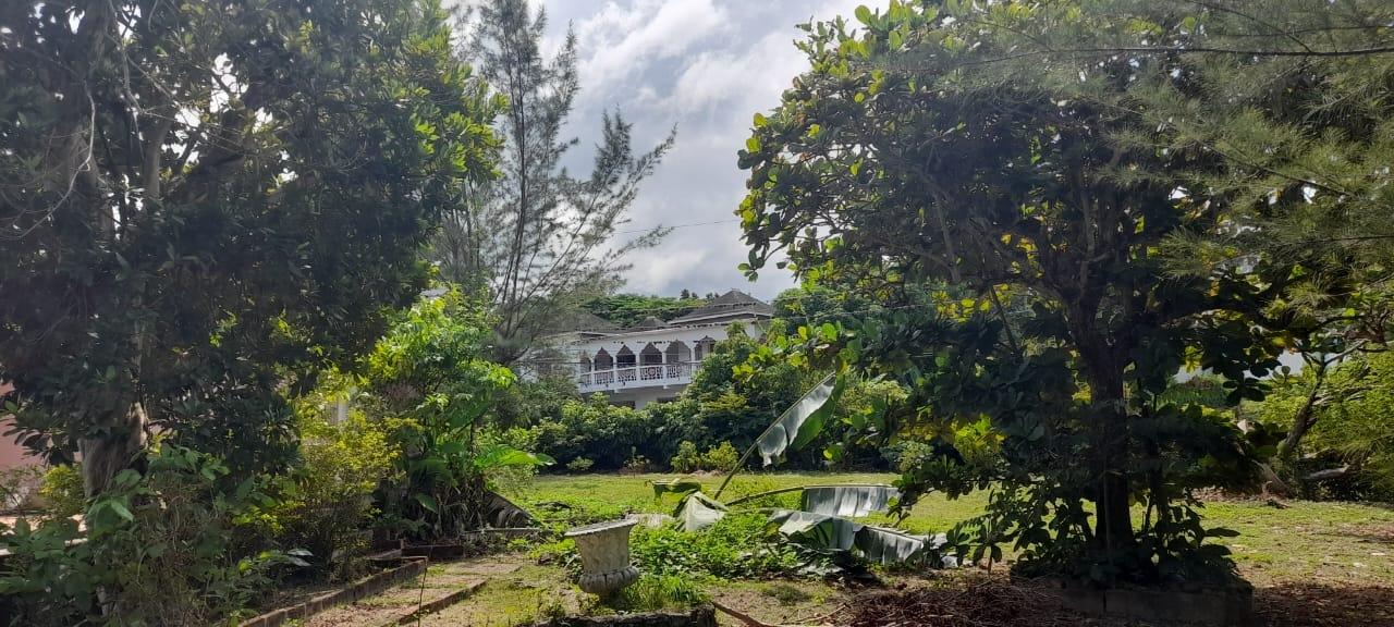Charming-Fixer-Upper-in-Ocho-Rios-3-Buildings-on-2.31-Acres Twenty-Eighth image of Exchange Road Ocho Rios in Ocho Rios, St. Ann, Jamaica - property is For Sale