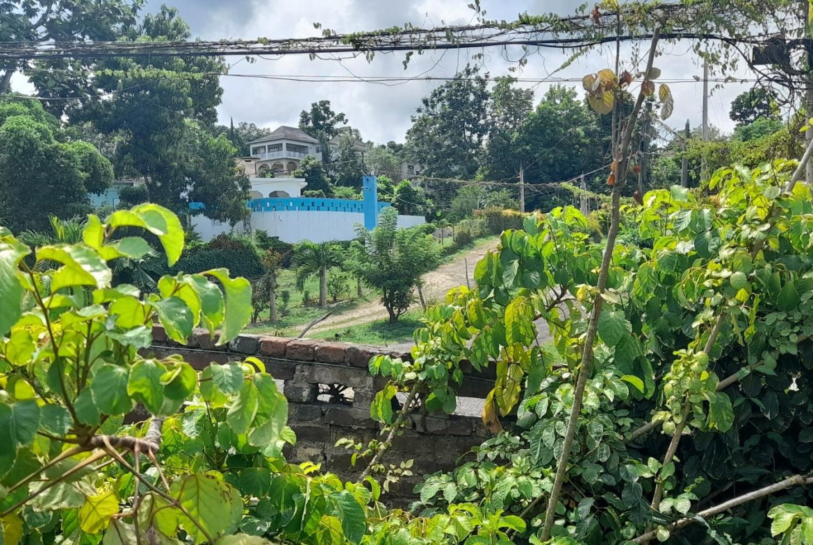 Twenty-Ninth image of Exchange Road Ocho Rios in Ocho Rios, St. Ann, Jamaica - property is For Sale