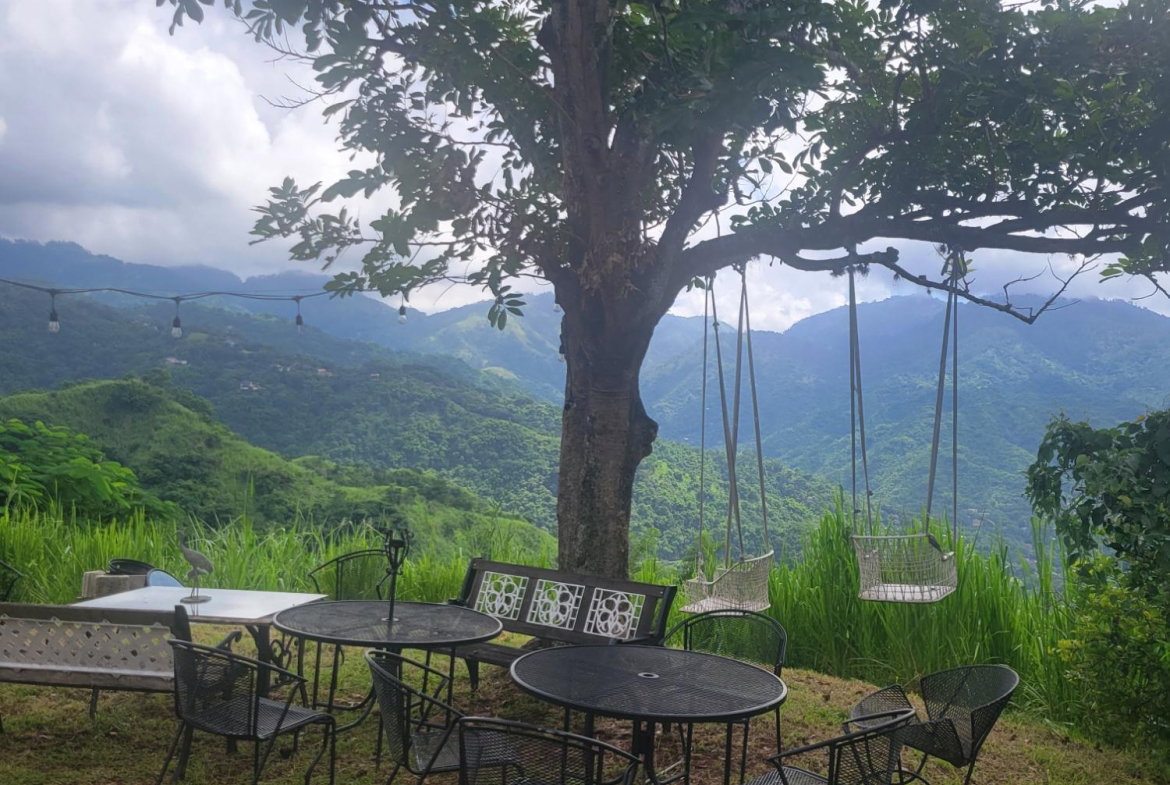 Thirtieth image of Upalong Close, Skyline dr in Kingston 6, St. Andrew, Jamaica - property is For Sale