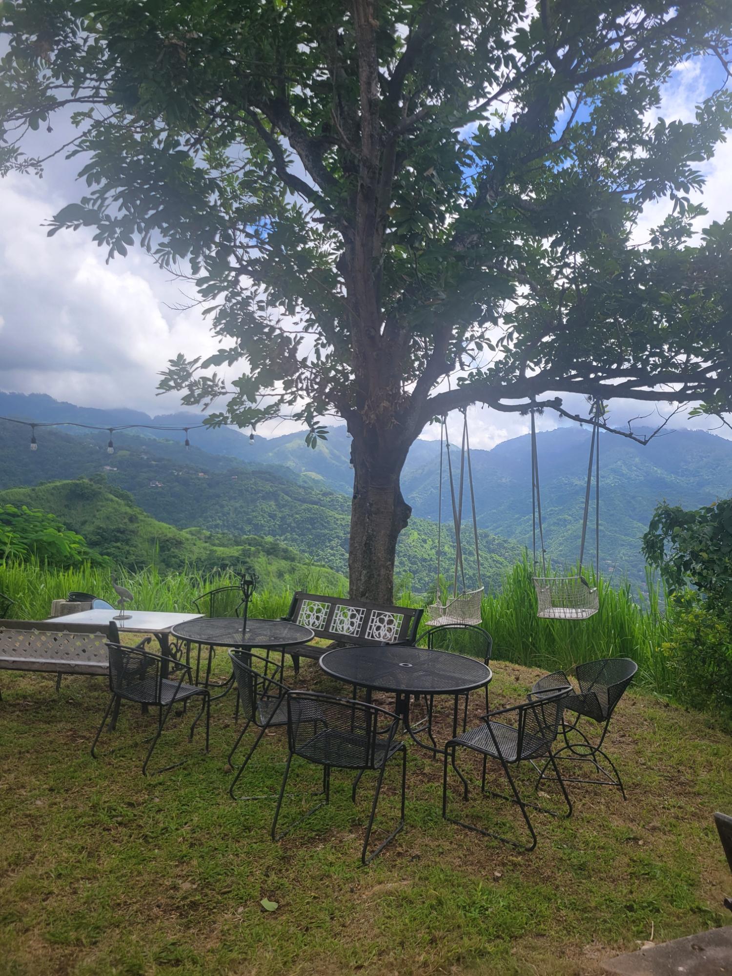 Charming-Fixer-Upper-in-the-Blue-Mountains-For-Sale Thirtieth image of Upalong Close, Skyline dr in Kingston 6, St. Andrew, Jamaica - property is For Sale