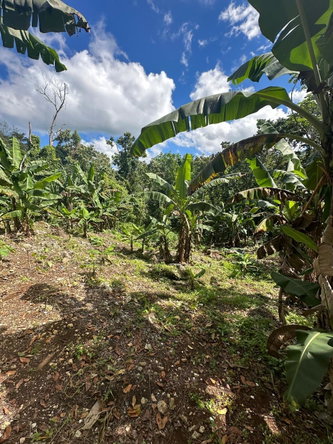 Eleventh image of 3 Beecher Town in Beecher Town, St. Ann, Jamaica - property is For Sale