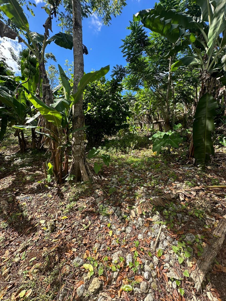 Twelfth image of 3 Beecher Town in Beecher Town, St. Ann, Jamaica - property is For Sale