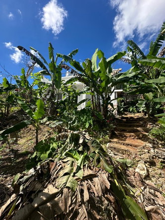Thirteenth image of 3 Beecher Town in Beecher Town, St. Ann, Jamaica - property is For Sale