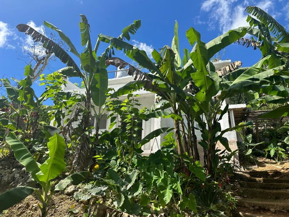 Fifth image of 3 Beecher Town in Beecher Town, St. Ann, Jamaica - property is For Sale