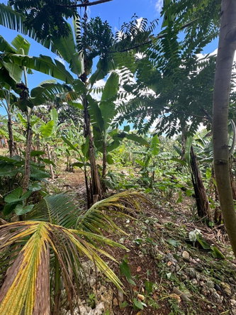 Eighth image of 3 Beecher Town in Beecher Town, St. Ann, Jamaica - property is For Sale