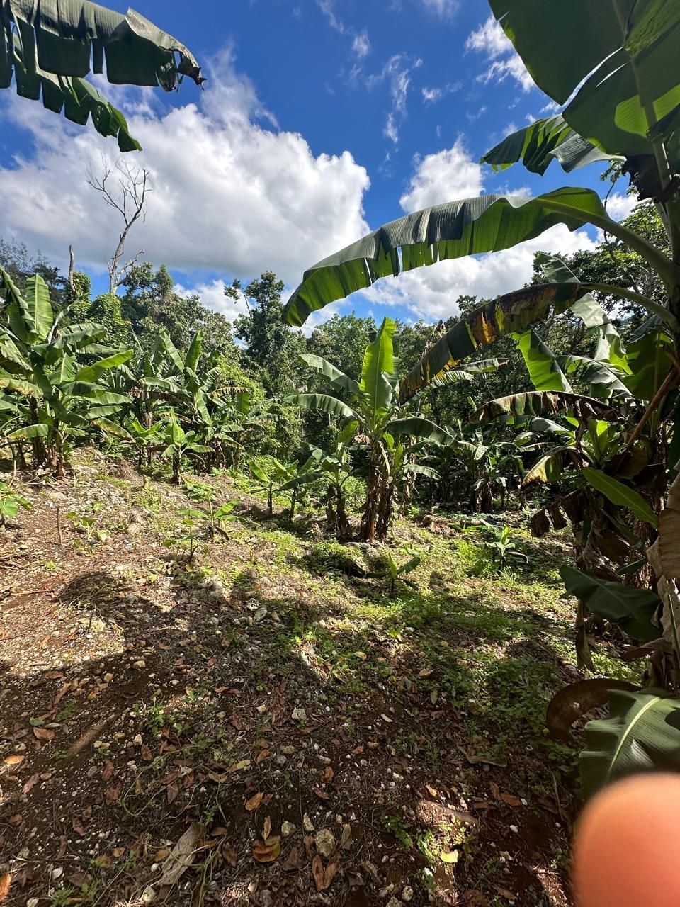 Tenth image of 3 Beecher Town in Beecher Town, St. Ann, Jamaica - property is For Sale