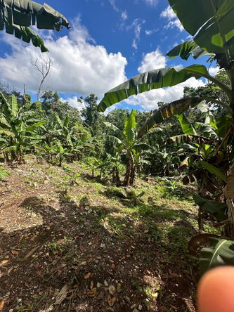 Tenth image of 3 Beecher Town in Beecher Town, St. Ann, Jamaica - property is For Sale