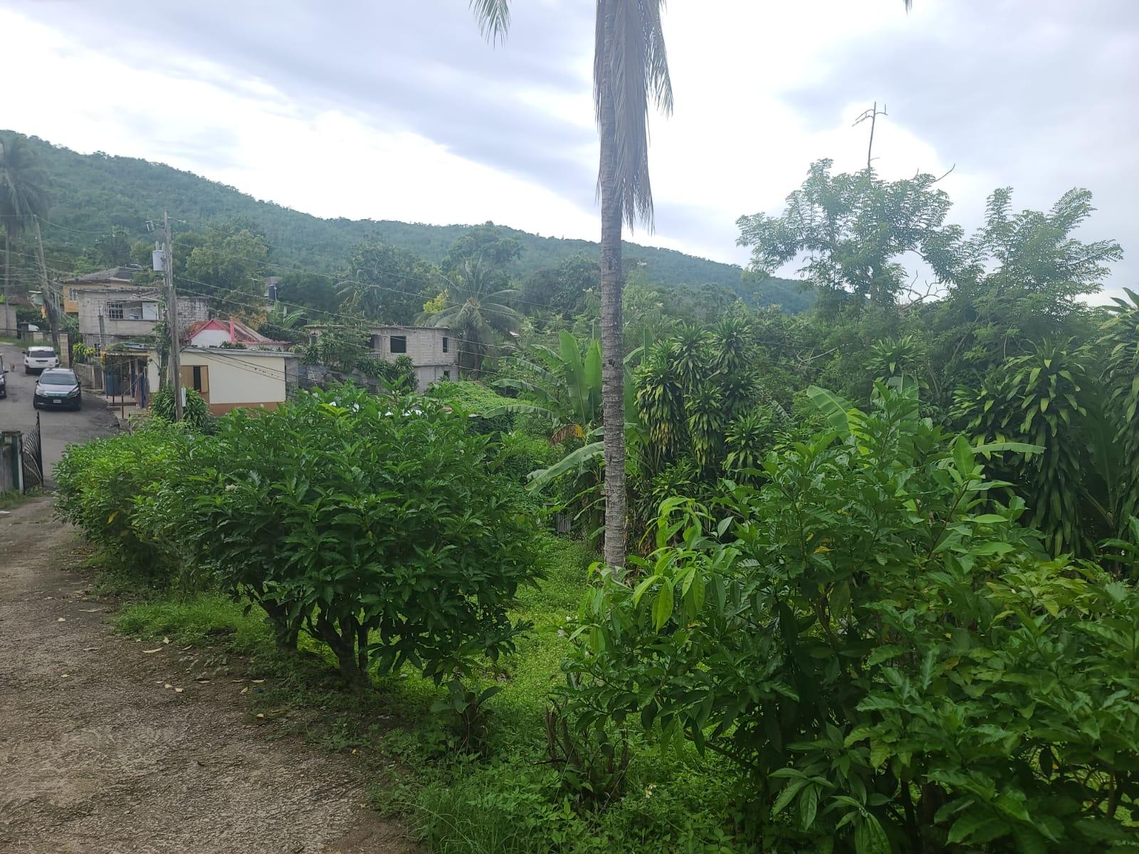 Twenty-First image of Pimento Walk, St. Ann in Pimento Walk, St. Ann, Jamaica - property is For Sale