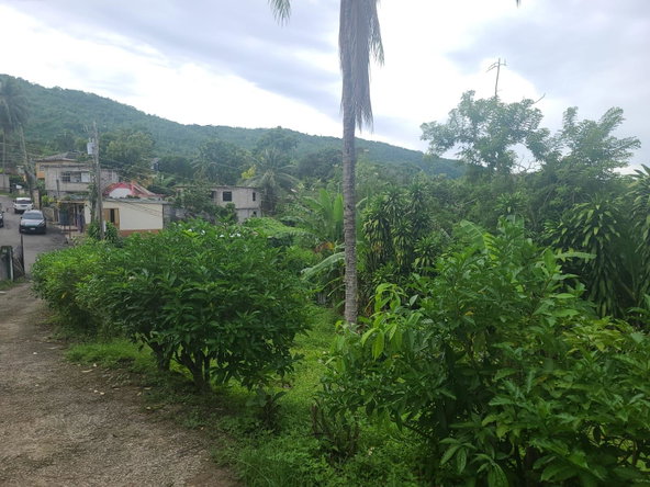 Twenty-First image of Pimento Walk, St. Ann in Pimento Walk, St. Ann, Jamaica - property is For Sale
