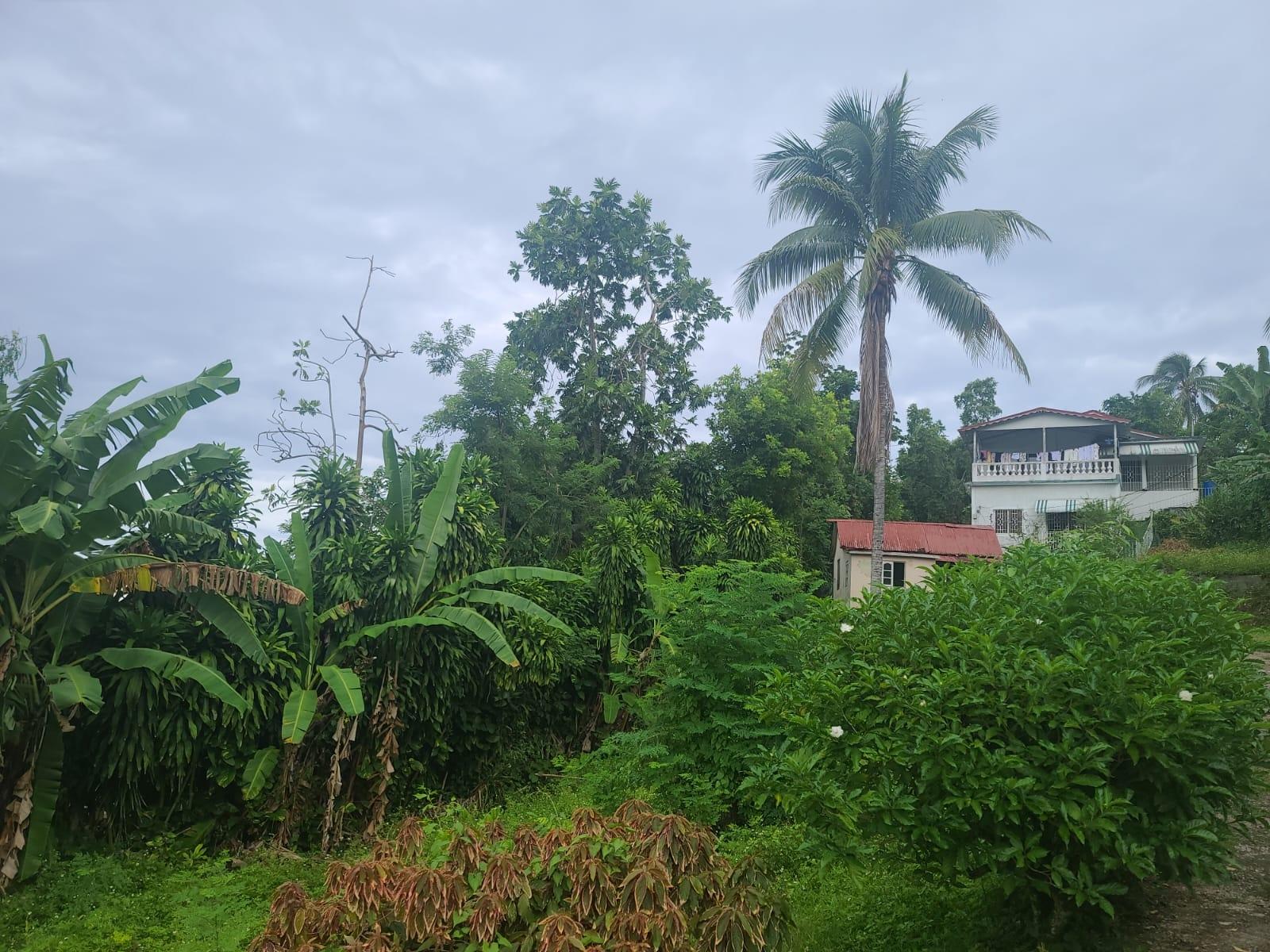 Fourth image of Pimento Walk, St. Ann in Pimento Walk, St. Ann, Jamaica - property is For Sale