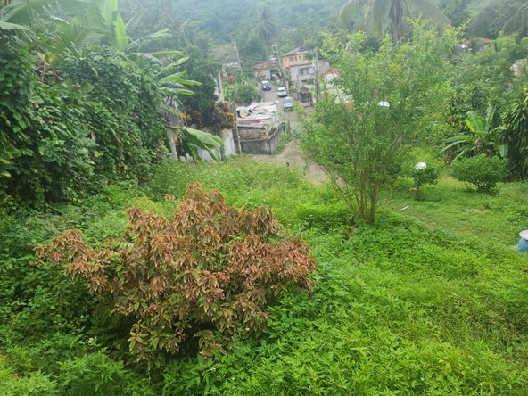 Ninth image of Pimento Walk, St. Ann in Pimento Walk, St. Ann, Jamaica - property is For Sale