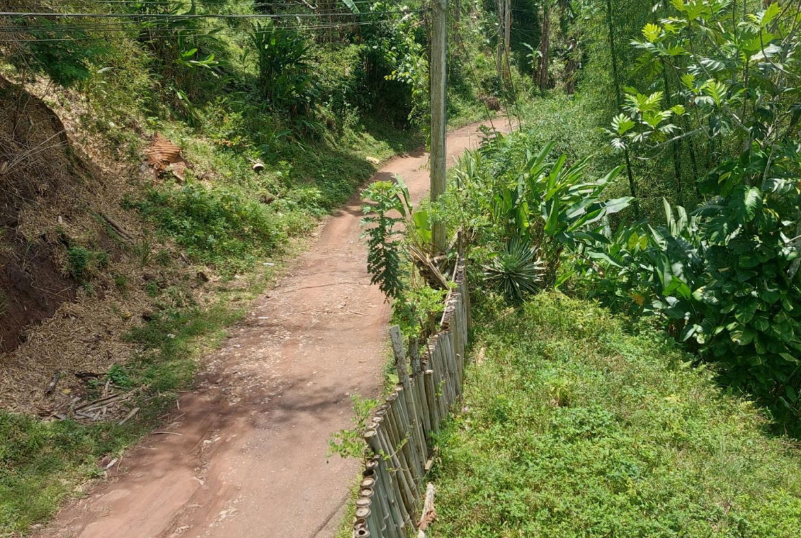 Second image of Iron River in Mount James, St. Andrew, Jamaica - property is For Sale