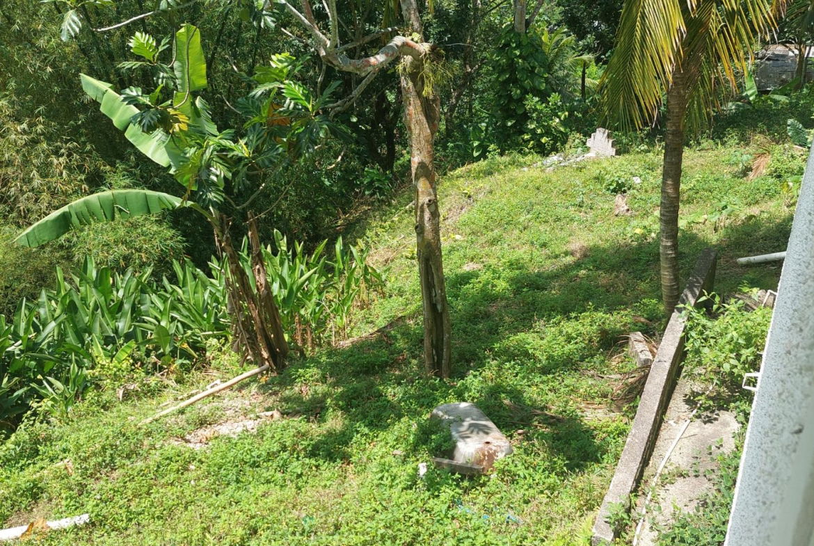 Eighth image of Iron River in Mount James, St. Andrew, Jamaica - property is For Sale