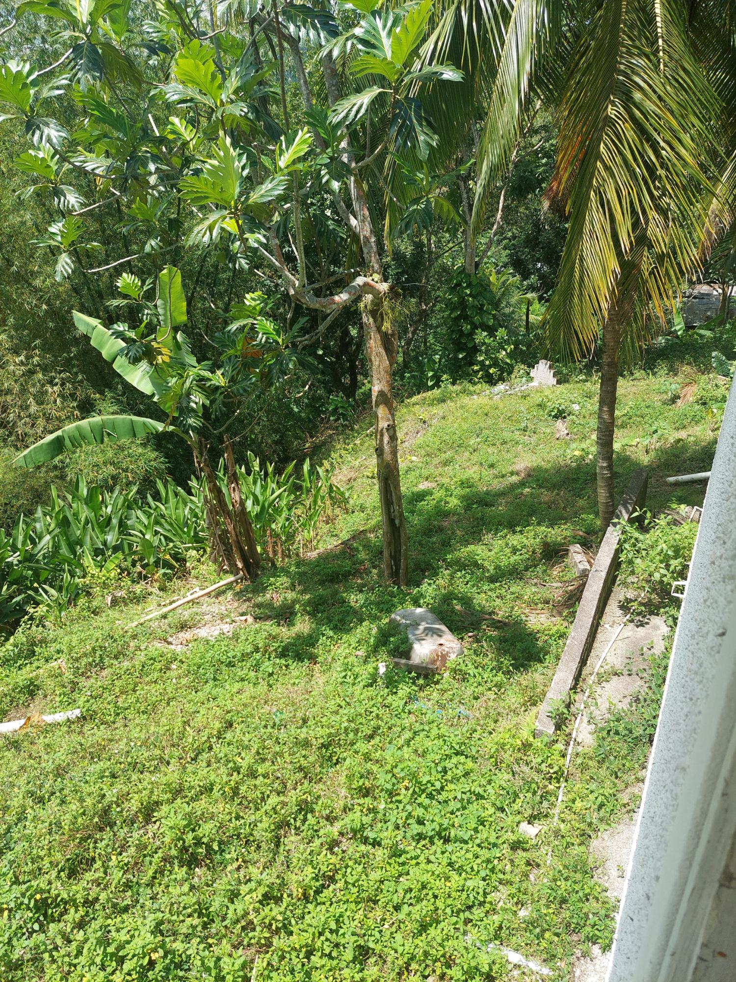 Eighth image of Iron River in Mount James, St. Andrew, Jamaica - property is For Sale