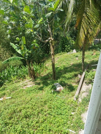 Eighth image of Iron River in Mount James, St. Andrew, Jamaica - property is For Sale