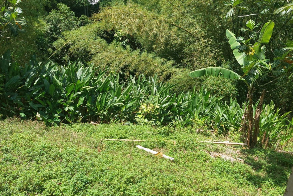 Ninth image of Iron River in Mount James, St. Andrew, Jamaica - property is For Sale
