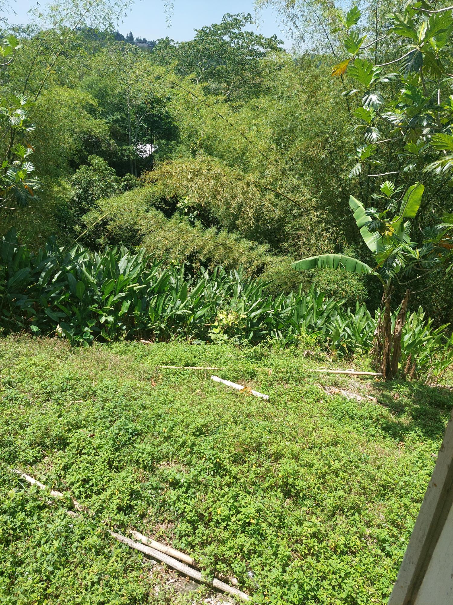 Ninth image of Iron River in Mount James, St. Andrew, Jamaica - property is For Sale