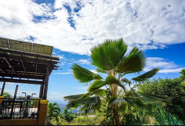 Twenty-Second image of mt Salus, Smokeyvale in Kingston 19, St. Andrew, Jamaica - property is For Sale