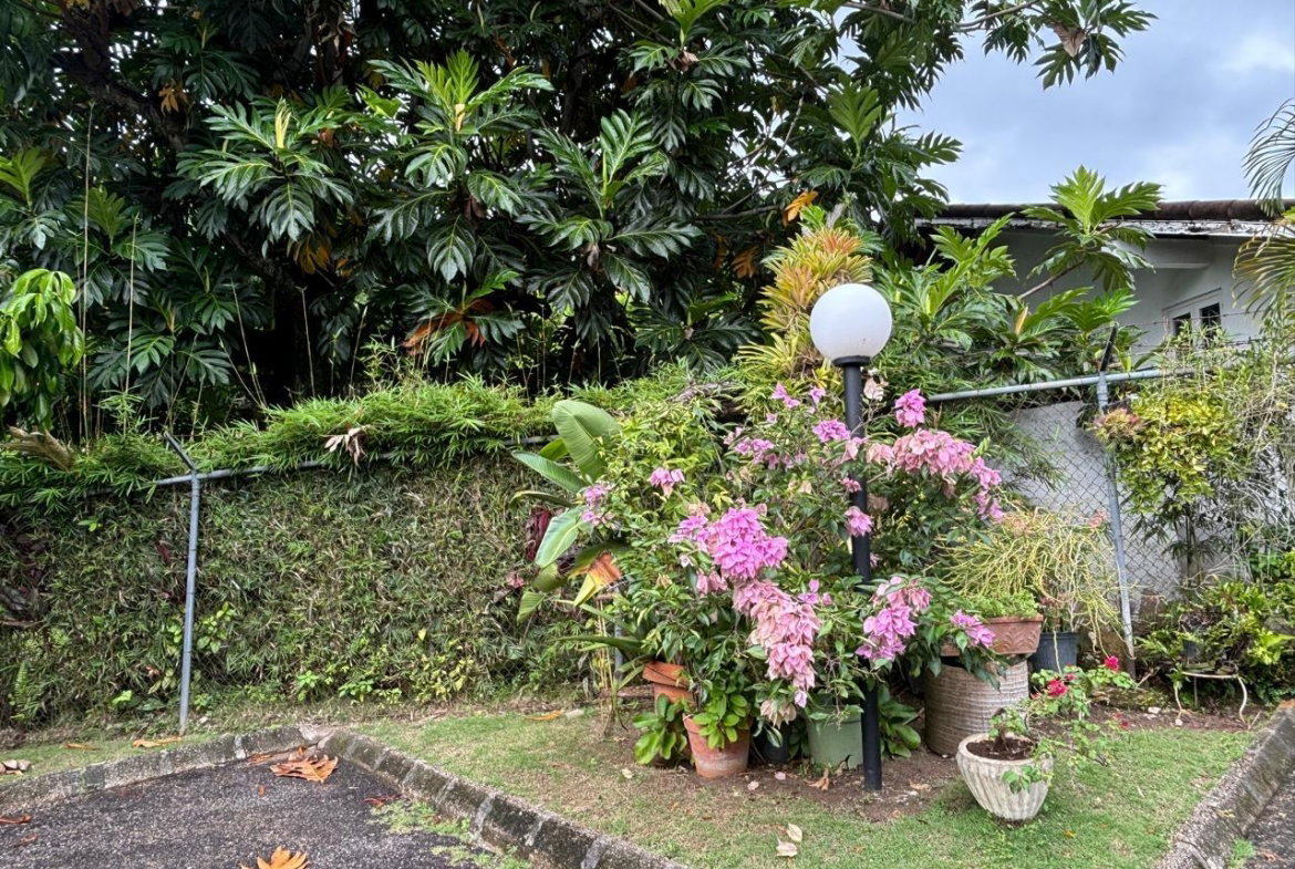 Fifteenth image of 3c-- 29-31 Norbrook Drive in Norbrook, St. Andrew, Jamaica - property is For Sale