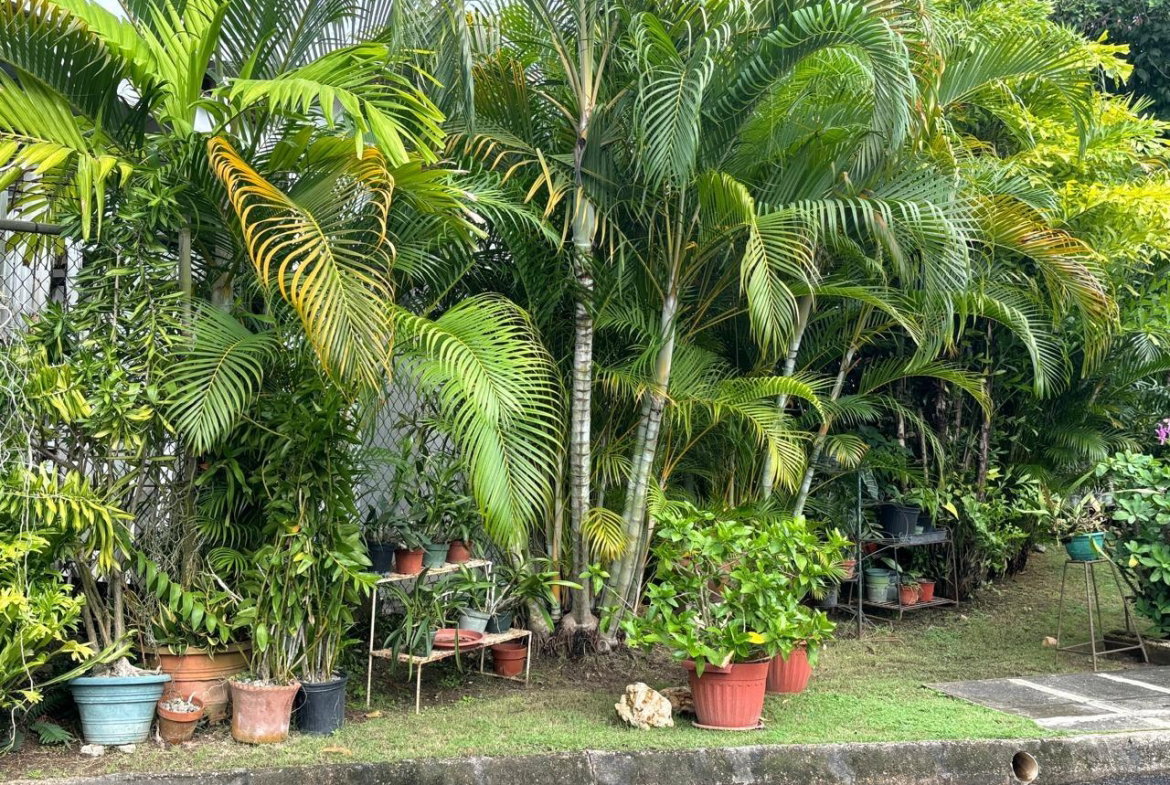 Sixteenth image of 3c-- 29-31 Norbrook Drive in Norbrook, St. Andrew, Jamaica - property is For Sale