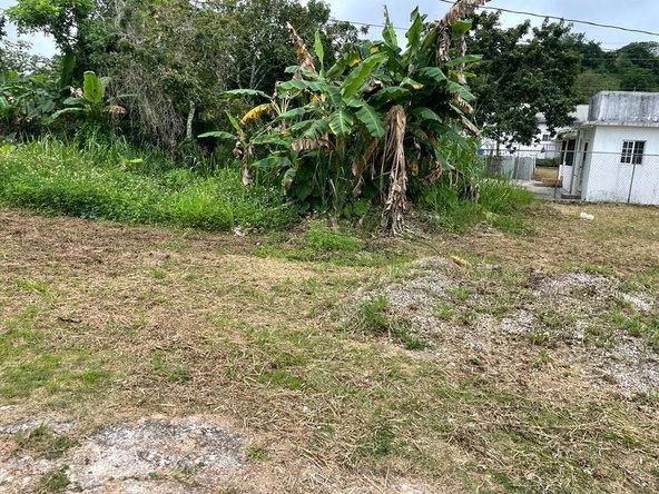 Fifth image of 60- Lilyfield in Bamboo, St. Ann, Jamaica - property is For Sale