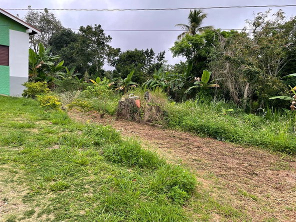 Seventh image of 60- Lilyfield in Bamboo, St. Ann, Jamaica - property is For Sale