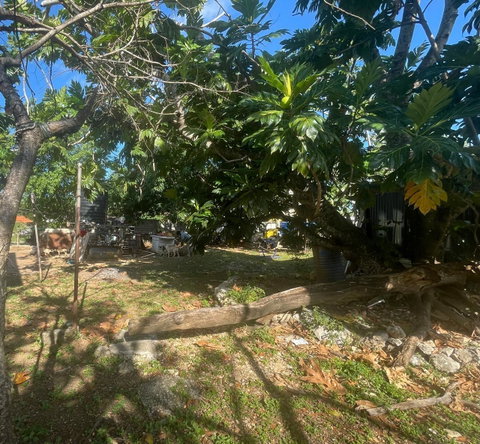 Thirteenth image of 1 Dairy Road in Discovery Bay, St. Ann, Jamaica - property is For Sale