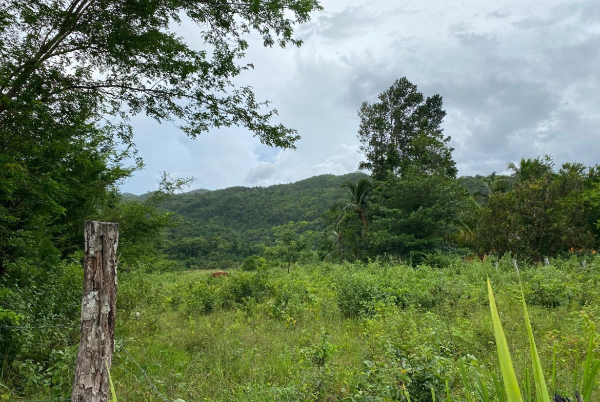 Eleventh image of Evergreen, Balaclava in MILE GULLY, Manchester, Jamaica - property is For Sale